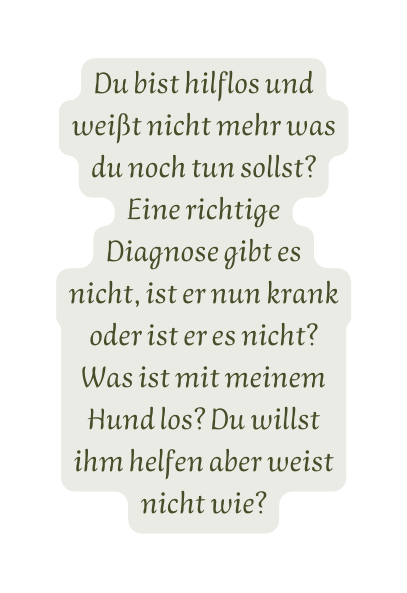 Du bist hilflos und weißt nicht mehr was du noch tun sollst Eine richtige Diagnose gibt es nicht ist er nun krank oder ist er es nicht Was ist mit meinem Hund los Du willst ihm helfen aber weist nicht wie